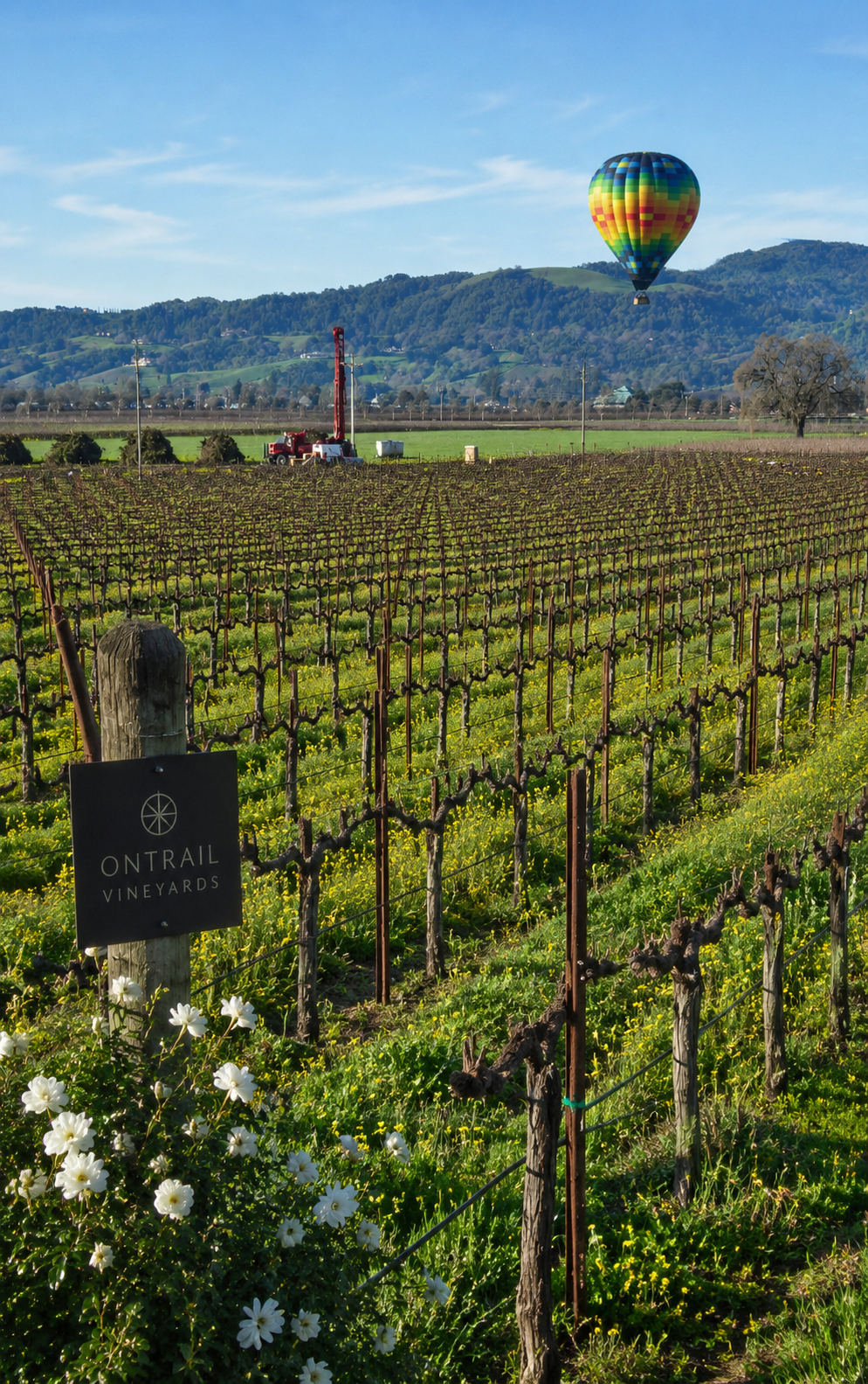 napa valley on trail wines